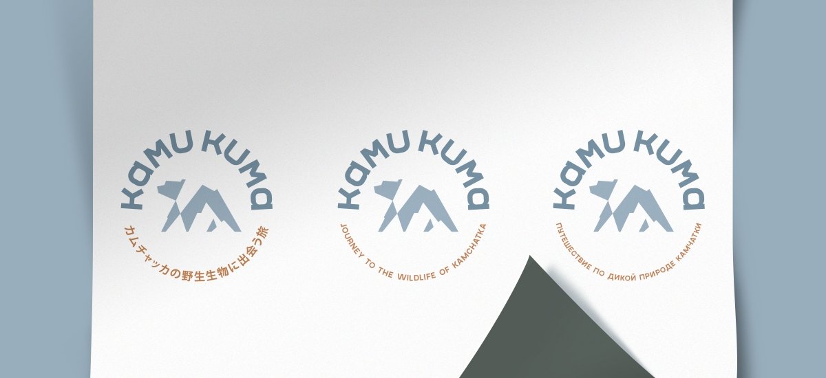 KAMU KUMA Нейминг, логотип, фирменный стиль и брендбук - примеры работ KAMU KUMA Нейминг, логотип, фирменный стиль и брендбук