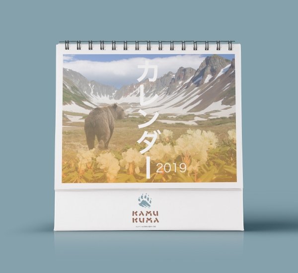 KAMU KUMA Нейминг, логотип, фирменный стиль и брендбук - примеры работ KAMU KUMA Нейминг, логотип, фирменный стиль и брендбук