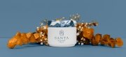 Santa Resort Hotel 4* Hotel Rebranding