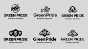 GreenPride Ребрендинг аутстаффинговой компании