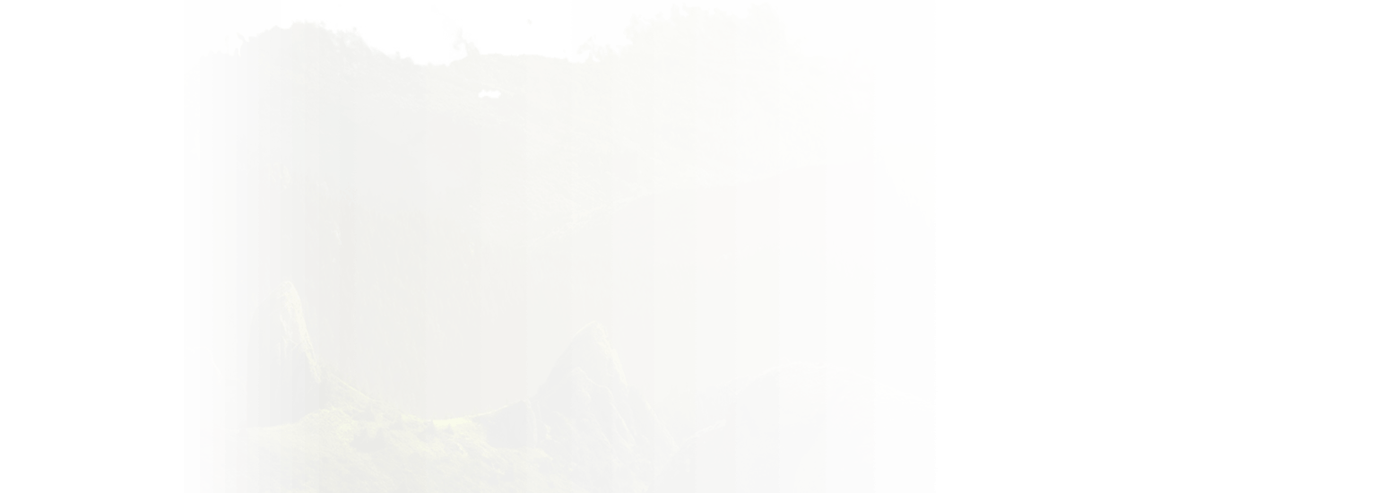 Рекламный проект для WWF Россия Рекламный Спецпроект WWF Присматривай за дикой природой