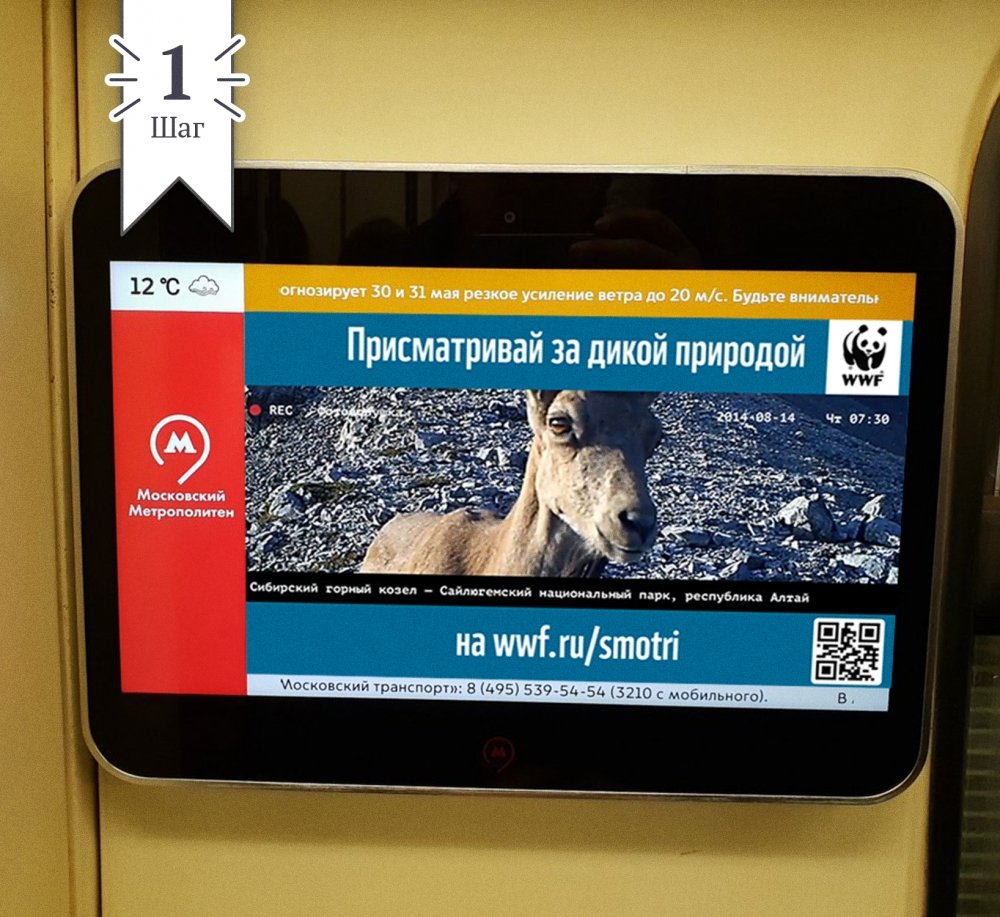 Рекламный проект для WWF Россия Рекламный Спецпроект WWF Присматривай за дикой природой - примеры работ Рекламный проект для WWF Россия Рекламный Спецпроект WWF Присматривай за дикой природой