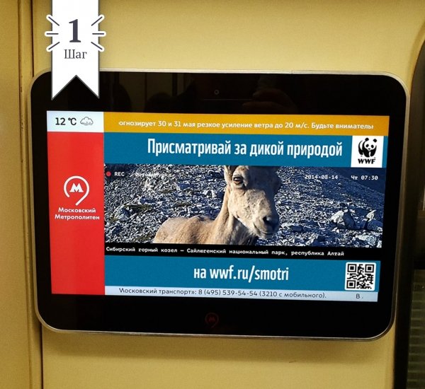 Спецпроект для WWF Присматривай за дикой природой - примеры работ Спецпроект для WWF Присматривай за дикой природой