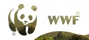 Рекламный проект для WWF Россия Присматривай за дикой природой