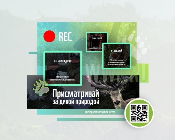 Рекламный Спецпроект WWF Присматривай за дикой природой - примеры работ Рекламный Спецпроект WWF Присматривай за дикой природой