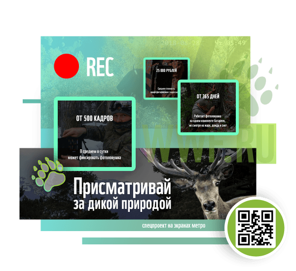 Рекламный проект для WWF Россия Рекламный Спецпроект WWF Присматривай за дикой природой