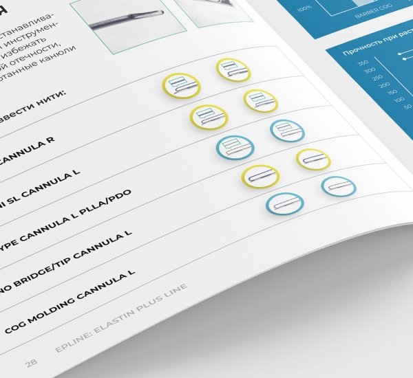 Design and Layout of Informational and Promotion Materials Epline - примеры работ Design and Layout of Informational and Promotion Materials Epline