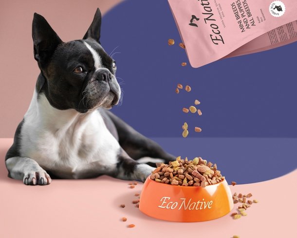 Логотип и дизайн упаковки корма для собак и кошек Eco Native